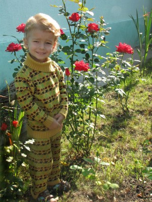 вишня.jpg